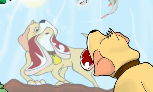 Басня Собака и её тень